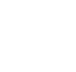 SAT-TV